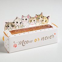 Коробочка для макарун Meow or never, 18 х 5,5 х 5,5 см