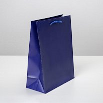 Пакет ламинированный «Синий», MS 18 х 23 х 8 см