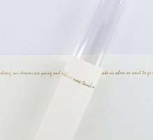 Фетр ламинированный "Письмена", цвет белый, 52 х 30 см