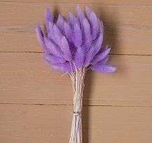 Сухие цветы лагуруса, набор: max 60 шт., цвет фиолетовый